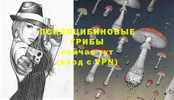 спиды Переславль-Залесский