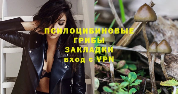 винт Алзамай