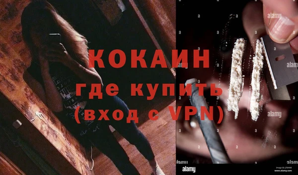 прущая мука Пересвет